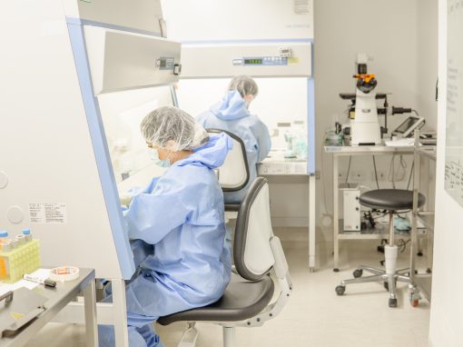 Medicina regenerativa con células madre